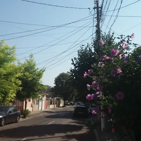 Vila Pozitiv *